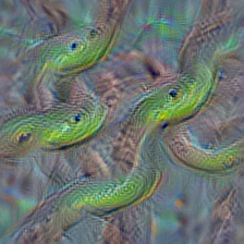 n01729977 green snake, grass snake
